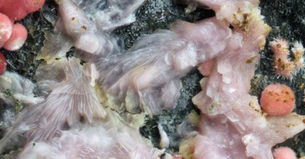 Vedci zo SAV objavili nový minerál - dobšináit