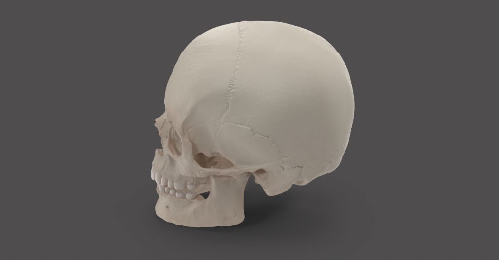 Vplyv veľkosti temennej kosti na orientáciu tváre u novodobého človeka