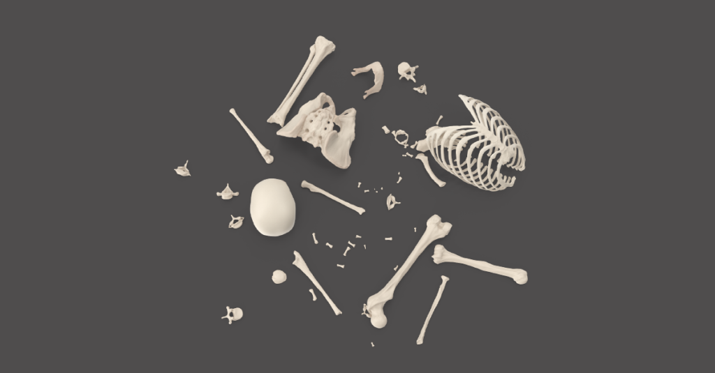 Poznáte jej päť základných typov ľudských kostí?